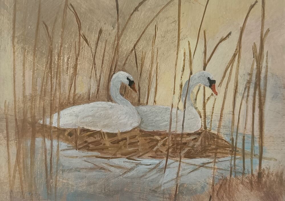 Tessa  Newcomb - Two Swans